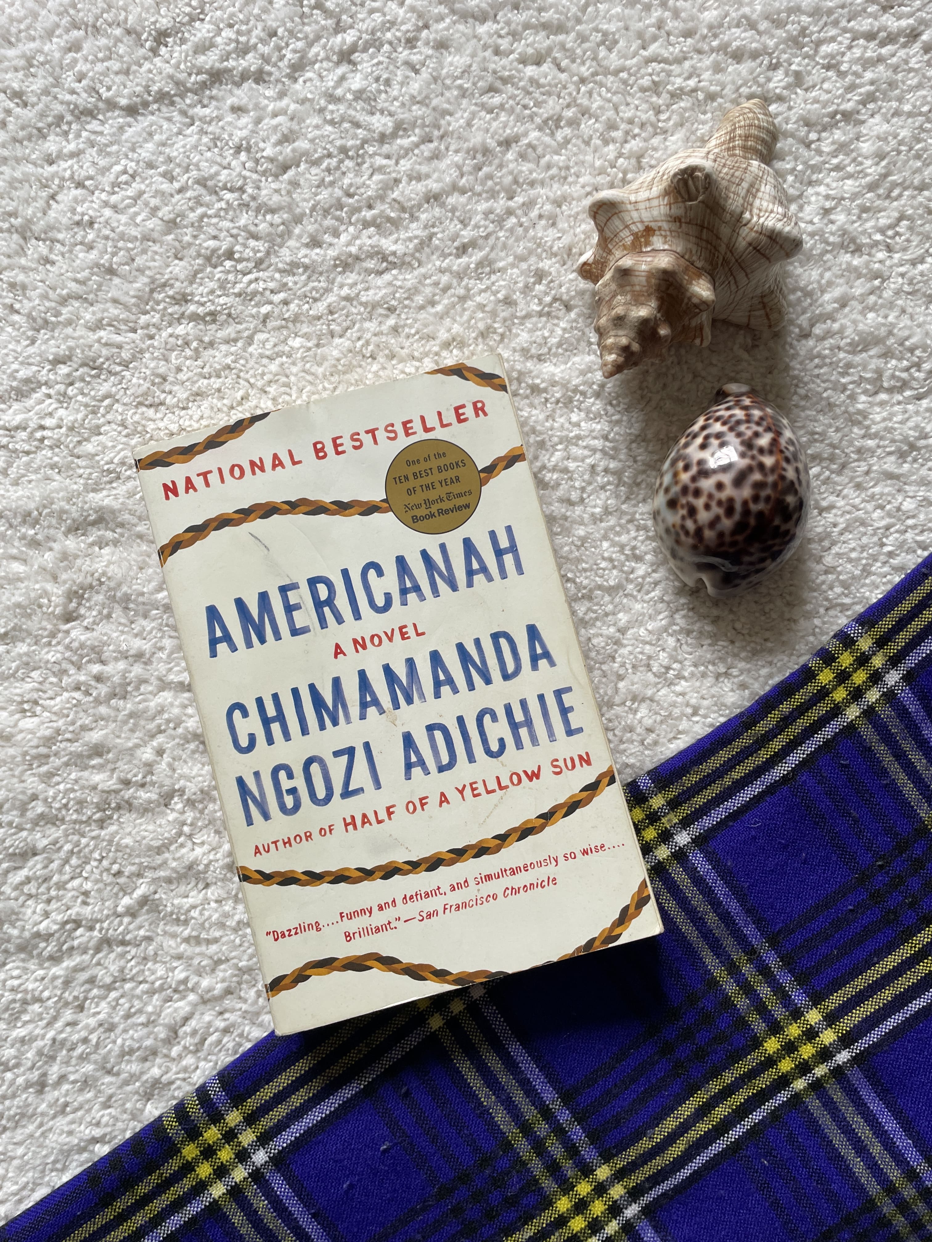 Americanah by Chimamanda Ngozi Adichie