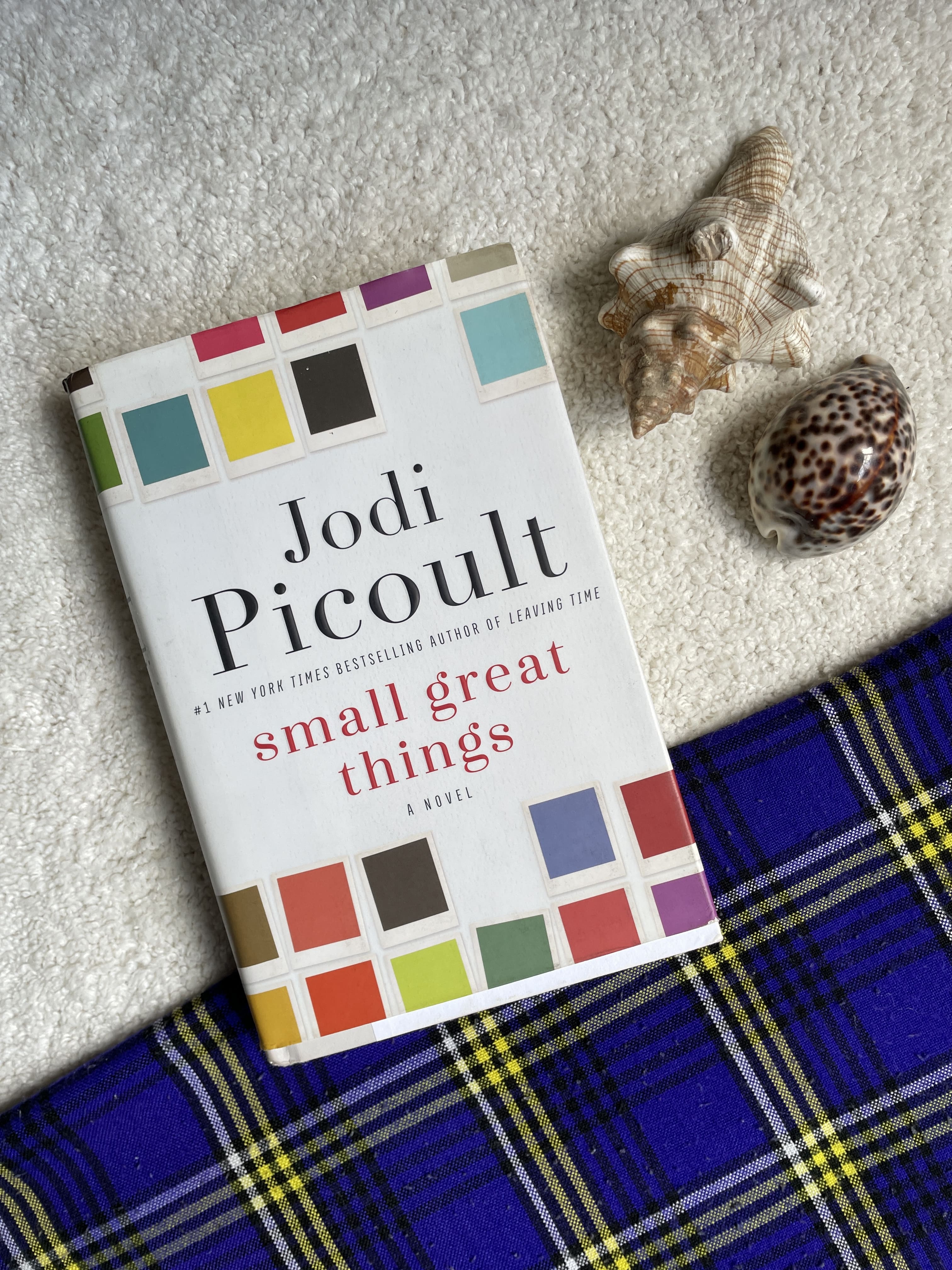 Small Great Things by Jodi Picoult