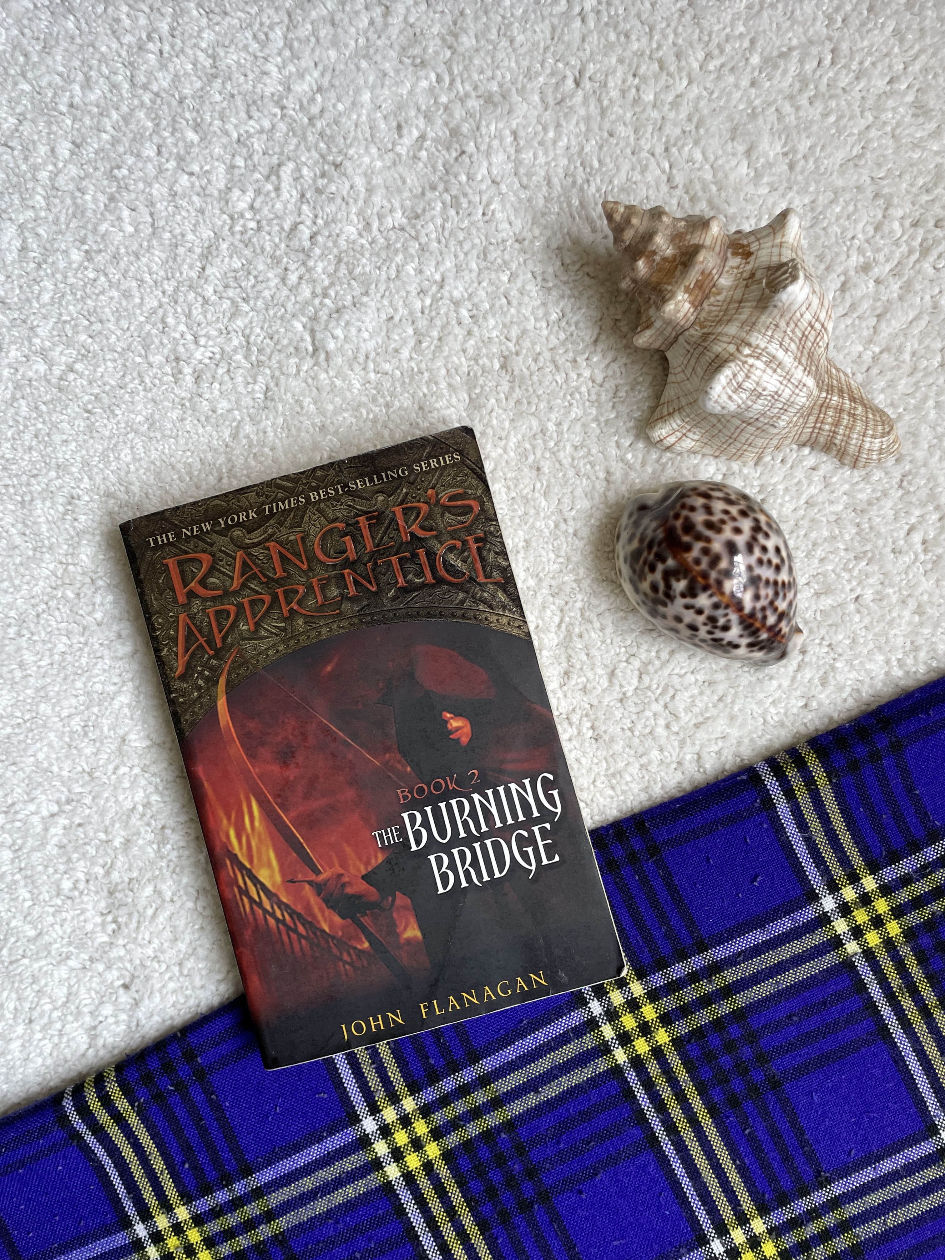 The Burning Bridge by John Flanagan (Ranger's Apprentice #2)