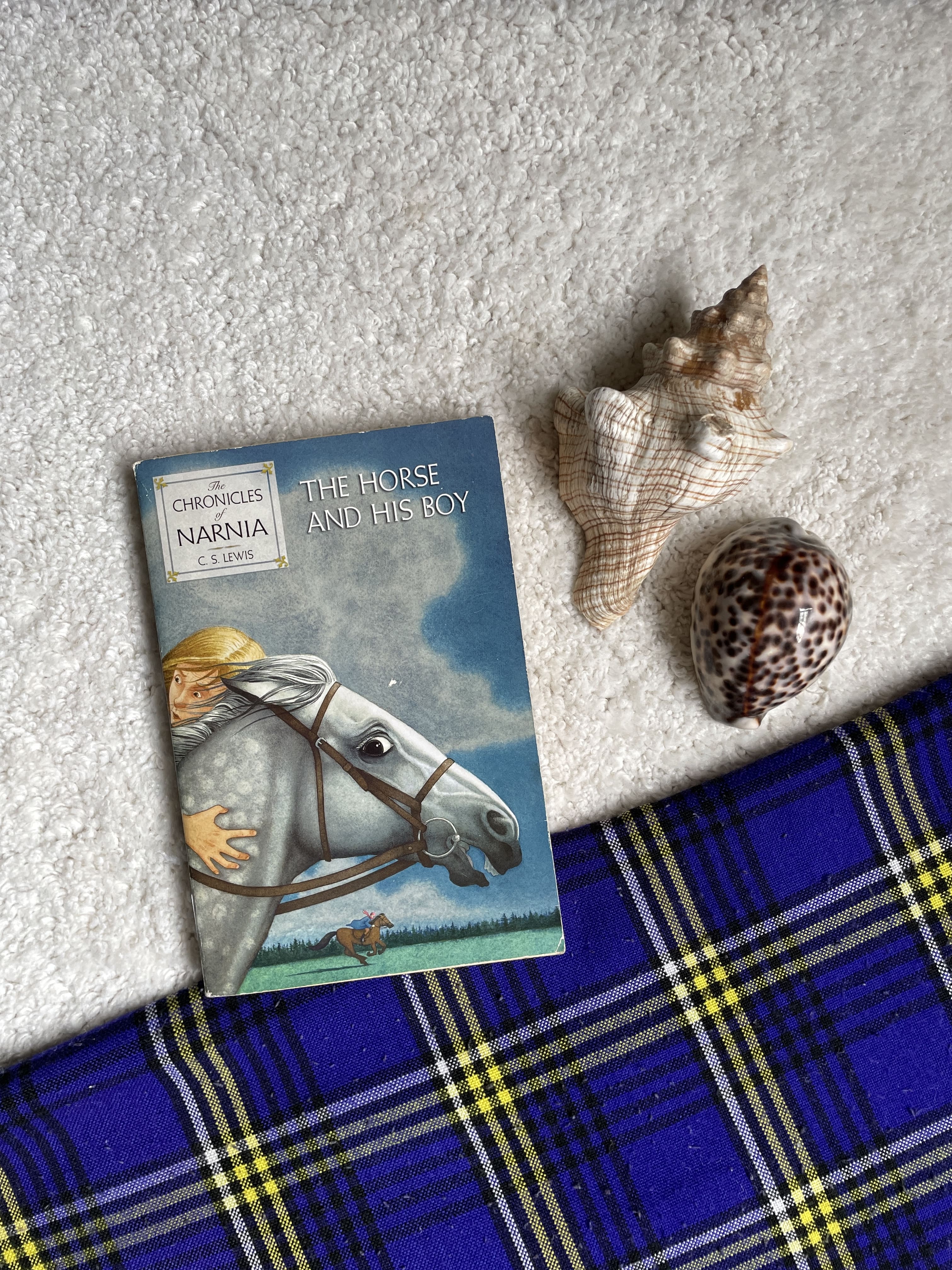 The Horse and His Boy  by C.S. Lewis (The Chronicles of Narnia #3)