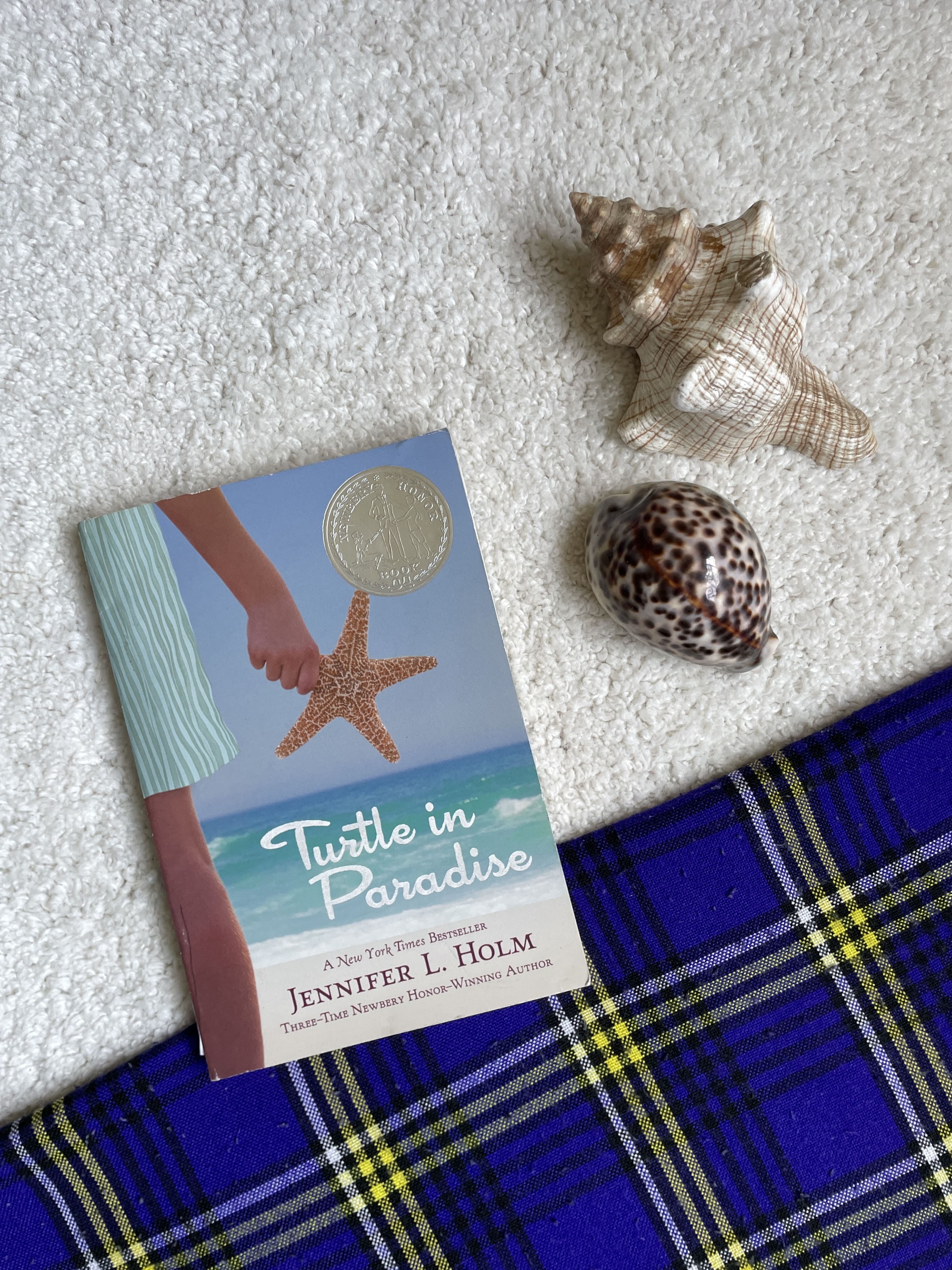 Turtle in Paradise by Jennifer Holm